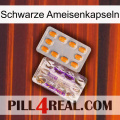 Black Ant Capsules new12